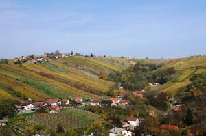 Vinsko-turistična cesta Lendavske gorice